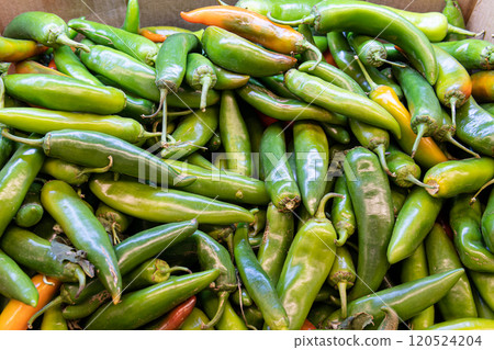 natural pepper ingredient fresh vegetarian organic food vegetable nature ripe green plant healthy natural pepper ingredient fresh vegetarian organic food vegetable nature ripe green plant healthy 120524204
