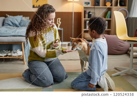 Young adoptive mother and little Black boy engaged in training cute Shiba Inu dog while sitting on floor in kids room 120524338