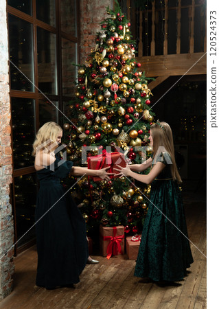 people tree celebration winter girl decoration family present holiday gift surprise christmas 120524373