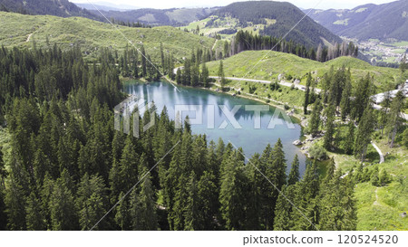 Lake Carezza reflecting coniferous forest in the Dolomites, Italy Lake Carezza reflecting coniferous forest in the Dolomites, Italy 120524520