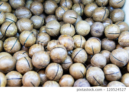 ingredient no people cooking seed nut macadamia nutshell food organic freshness - snack ingredient no people cooking seed nut macadamia nutshell food organic freshness - snack 120524527
