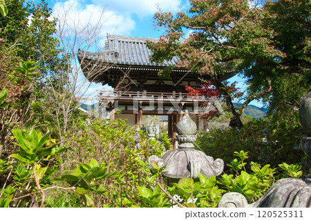 Kanonji 120525311