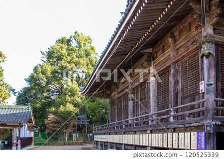 寺廟 寺廟 120525339