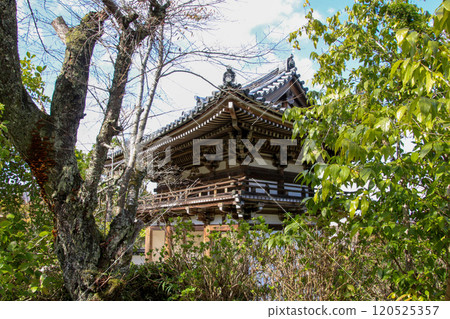 Kanonji Kanonji 120525357