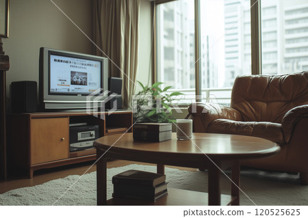 Image of elderly people's living room 120525625