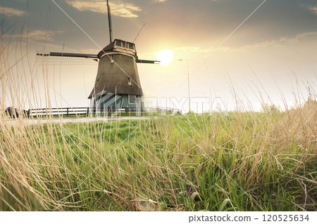 Picturesque windmill stands amidst a tranquil Dutch landscape at sunset, the scene evokes serenity and connects to rich historical traditions. Tall grasses sway gently, enhancing the peaceful Picturesque windmill stands amidst a tranquil Dutch landscape at sunset, the scene evokes serenity and connects to rich historical traditions. Tall grasses sway gently, enhancing the peaceful 120525634