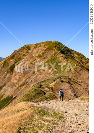 Tanigawa mountain range and Mt. Mokura in late autumn 120526309