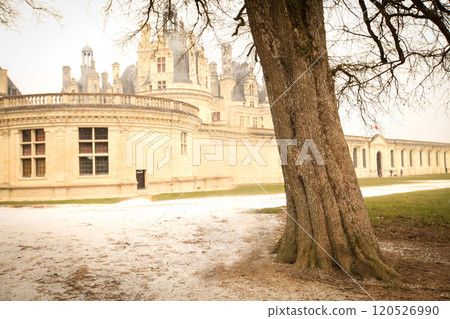 stunning vintage premise stands grandly with its intricate architecture, surrounded by lush greenery under a misty sky, exudes elegance and captures the beauty of timeless architecture stunning vintage premise stands grandly with its intricate architecture, surrounded by lush greenery under a misty sky, exudes elegance and captures the beauty of timeless architecture 120526990