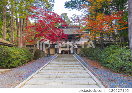 Koyasan Kongobu-ji Temple: main gate surrounded by autumn leaves 120527595