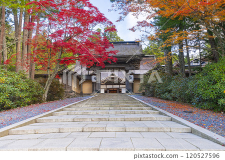 Koyasan Kongobu-ji Temple: main gate surrounded by autumn leaves 120527596