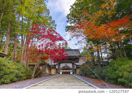 高野山金剛峰寺正門被秋葉覆蓋 120527597