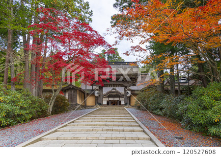 Koyasan Kongobu-ji Temple: main gate surrounded by autumn leaves Koyasan Kongobu-ji Temple: main gate surrounded by autumn leaves 120527608