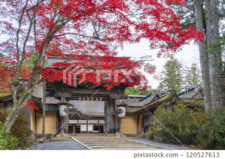 Koyasan Kongobu-ji Temple: main gate surrounded by autumn leaves Koyasan Kongobu-ji Temple: main gate surrounded by autumn leaves 120527613