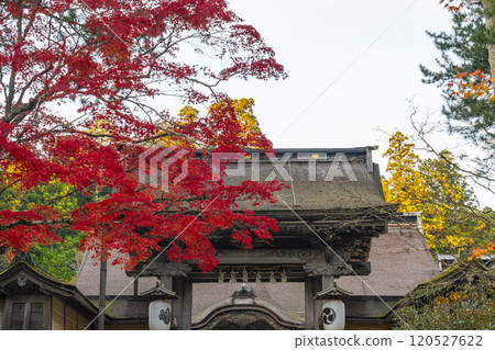 Koyasan Kongobu-ji Temple: main gate surrounded by autumn leaves 120527622