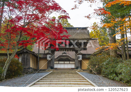 Koyasan Kongobu-ji Temple: main gate surrounded by autumn leaves 120527623