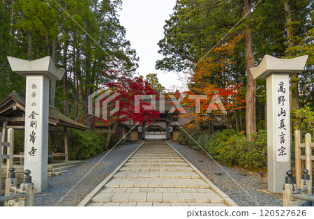 Koyasan Kongobu-ji Temple: main gate surrounded by autumn leaves 120527626