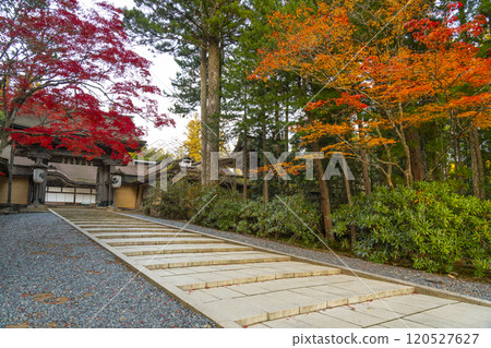 Koyasan Kongobu-ji Temple: main gate surrounded by autumn leaves 120527627