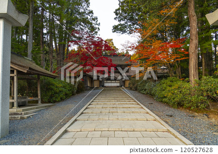 Koyasan Kongobu-ji Temple: main gate surrounded by autumn leaves Koyasan Kongobu-ji Temple: main gate surrounded by autumn leaves 120527628