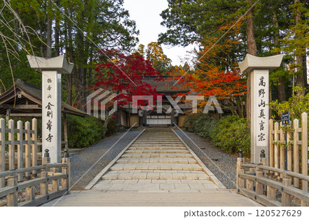 Koyasan Kongobu-ji Temple: main gate surrounded by autumn leaves Koyasan Kongobu-ji Temple: main gate surrounded by autumn leaves 120527629
