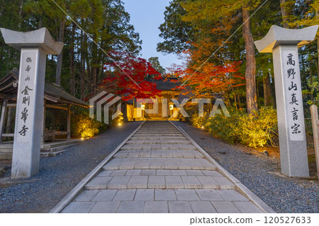Koyasan Kongobu-ji Temple main gate autumn leaves light up 120527633