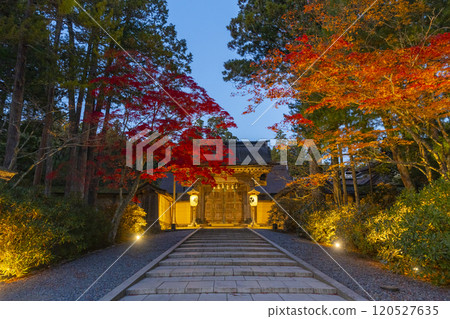 Koyasan Kongobu-ji Temple main gate autumn leaves light up 120527635