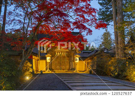 高野山金剛峰寺正門紅葉燈飾 120527637