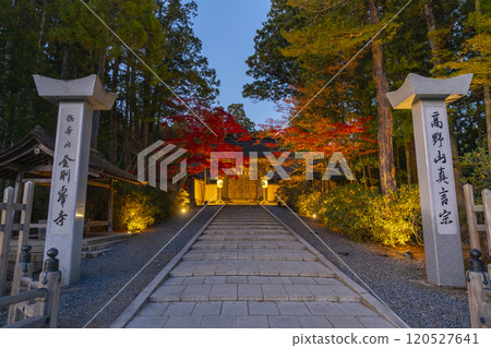 Koyasan Kongobu-ji Temple main gate autumn leaves light up 120527641