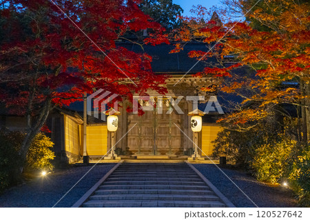 高野山金剛峰寺正門紅葉燈飾 高野山金剛峰寺正門紅葉燈飾 120527642