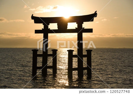 兩隻烏鴉棲息在大鳥居門上 兩隻烏鴉棲息在大鳥居門上 120527748