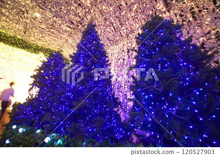Light tunnel and Christmas tree Light tunnel and Christmas tree 120527903