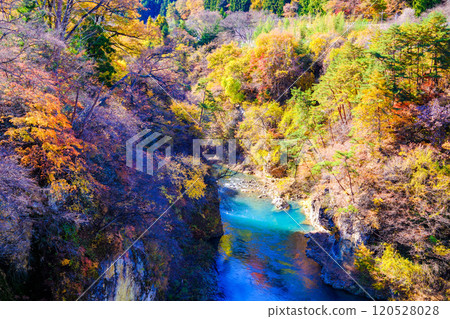 Azuma Gorge in autumn leaves 1 Azuma Gorge in autumn leaves 1 120528028