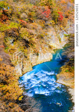 秋天的東峽(縱向) 秋天的東峽(縱向) 120528031