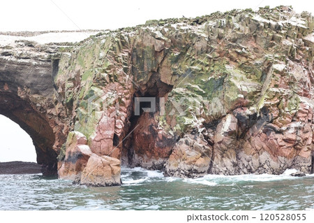 [Peru] Ballestas Islands 120528055