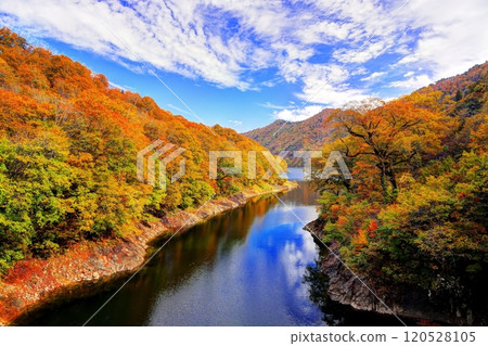 奧只見湖阿梅池大橋周圍的秋葉 奧只見湖阿梅池大橋周圍的秋葉 120528105