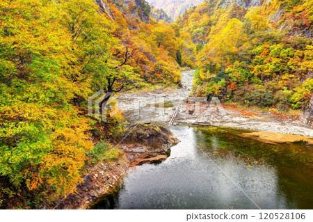 奧只見湖阿梅池大橋周圍的秋葉 奧只見湖阿梅池大橋周圍的秋葉 120528106