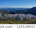 [Utsukushigahara Plateau] Trees covered in frost 120528641