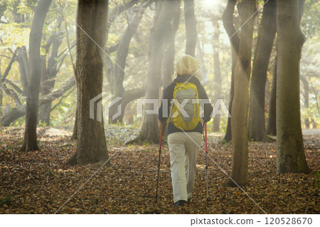Senior woman hiking, back view 120528670