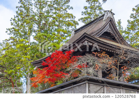 高野山金剛峰寺,六點鐘的鐘聲被秋葉包裹著 高野山金剛峰寺,六點鐘的鐘聲被秋葉包裹著 120528768