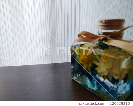 窗台上的植物標本室 120529210