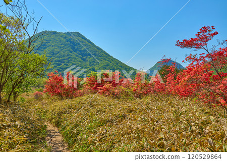 I see Harunomi Fuji, Owatagatake from near the Sulu Pass at the foot of Haruna-san (Soma Mt.) in the spring of Gunma Prefecture 120529864