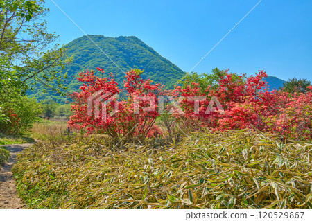 I see Harunomi Fuji, Owatagatake from near the Sulu Pass at the foot of Haruna-san (Soma Mt.) in the spring of Gunma Prefecture 120529867