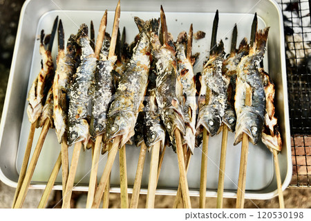 Place the grilled skewers on the tray. 120530198