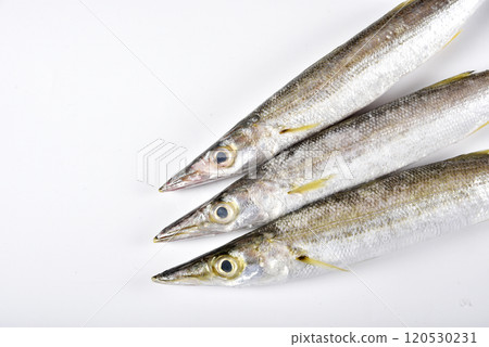 3 barracudas 3 barracudas 120530231