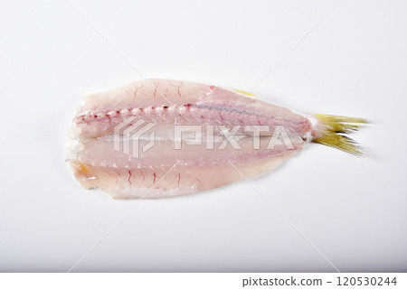 打開魚肚 打開魚肚 120530244