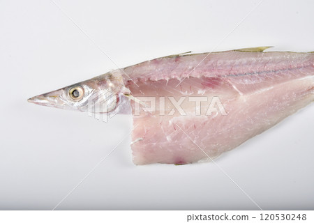 魚開袖 120530248