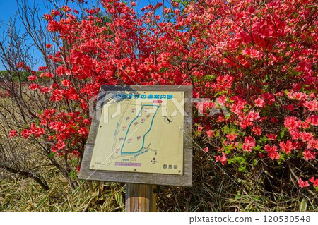 春天群馬縣Haruna-san（Soma Mt.）山腳下的蘇祿山附近的Yuusuke地圖 120530548