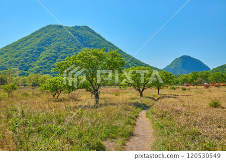 春季，從群馬縣榛名山（相馬山）山麓的流水峠附近眺望榛名富士山和烏帽岳的新綠。 120530549