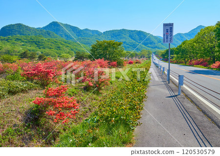 Haruna Lake Melody Line at the foot of Haruna Mountain (Somao Mountain) in the Spring (Prefectural Route 33), Mitsudan Mountain, Tenmayama Direction 120530579