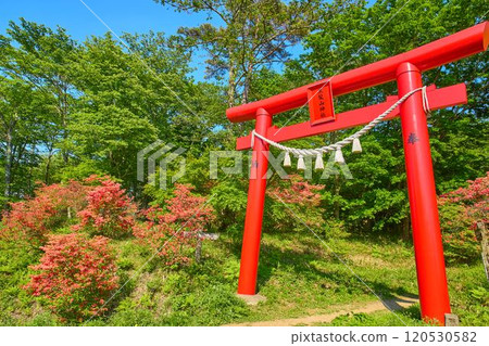 春天的群馬縣榛名山(相馬山)黑神山神社鳥居(縣道33號線一側) 春天的群馬縣榛名山(相馬山)黑神山神社鳥居(縣道33號線一側) 120530582