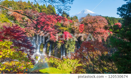 白絲瀑布和富士山(秋季) 白絲瀑布和富士山(秋季) 120530674
